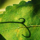Image for article titled Shooting Challenge: Focus Stacking Gallery